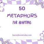 metaphors for adapting