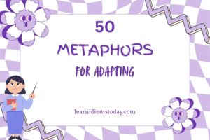 metaphors for adapting