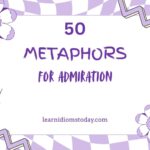 metaphors for admiration